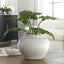 Uttermost Accessories Floreana Round White Vase House of Isabella UK