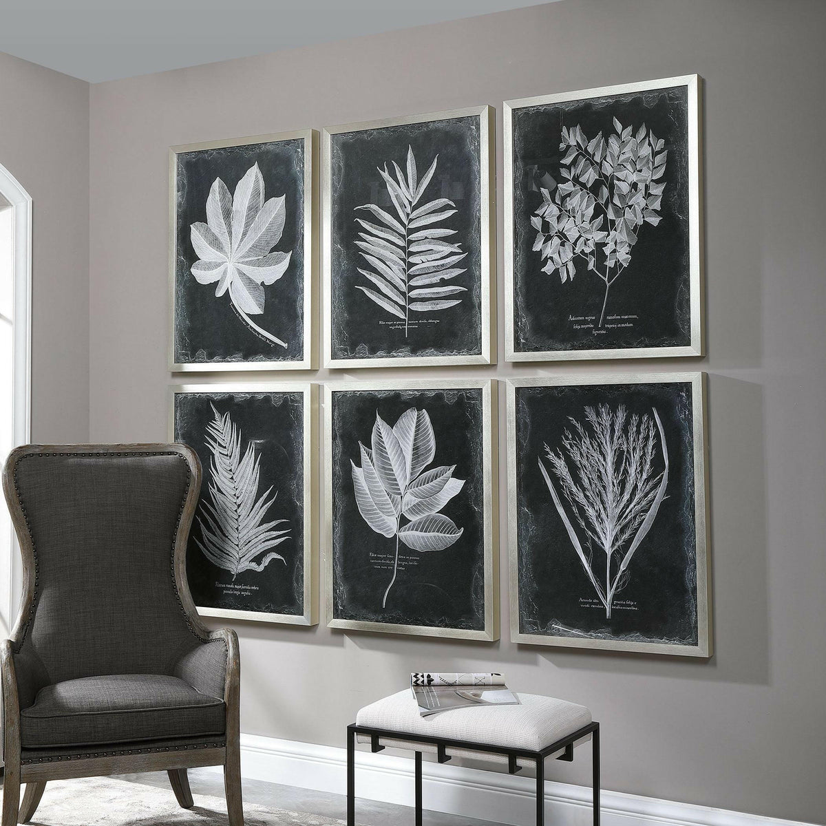Foliage Framed Prints, S/6.