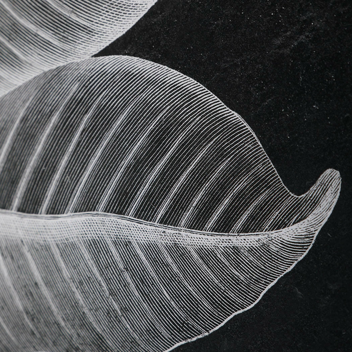 Foliage Framed Prints, S/6.