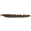 Uttermost Accessories Frond Indoor-Outdoor Leaf Tray House of Isabella UK