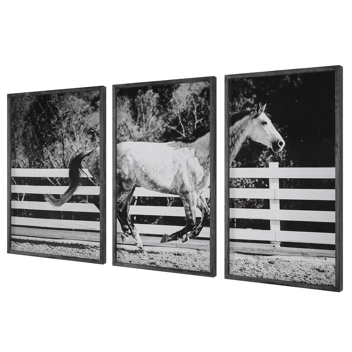 Uttermost Accessories Galloping Forward Equine Prints - Set of 3 House of Isabella UK