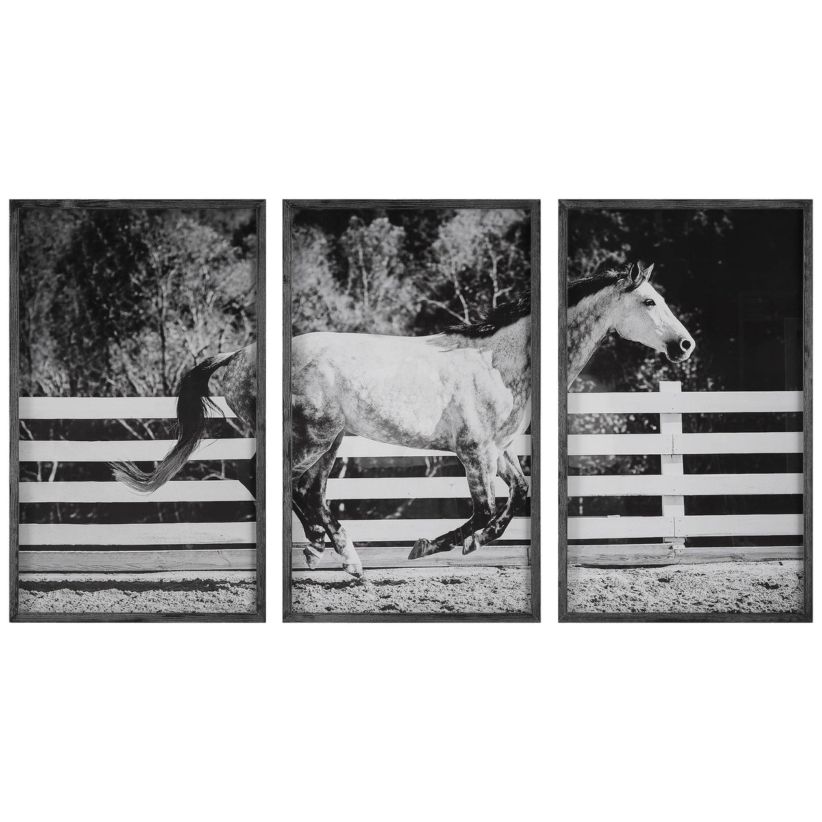 Uttermost Accessories Galloping Forward Equine Prints - Set of 3 House of Isabella UK