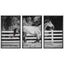 Uttermost Accessories Galloping Forward Equine Prints - Set of 3 House of Isabella UK