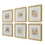 Uttermost Accessories Garden Mist Framed Canvases - Set of 6 House of Isabella UK