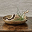Uttermost Accessories Gold Mine Bowl - Large House of Isabella UK