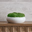 Uttermost Accessories Gratia Moss Centerpiece House of Isabella UK