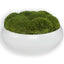 Uttermost Accessories Gratia Moss Centerpiece House of Isabella UK