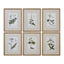 Uttermost Accessories Green Floral Botanical Study Prints S/6 House of Isabella UK