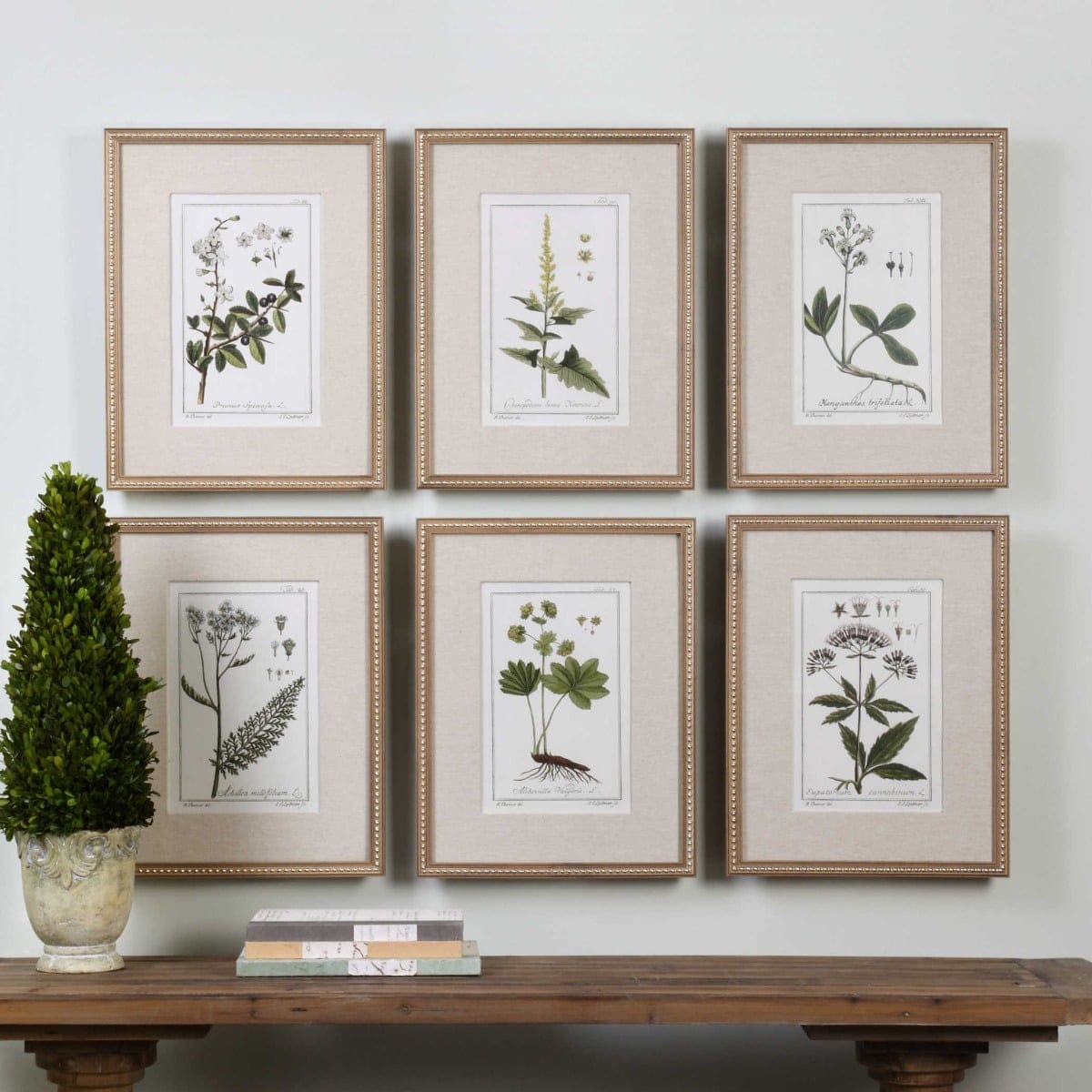 Uttermost Accessories Green Floral Botanical Study Prints S/6 House of Isabella UK