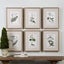 Uttermost Accessories Green Floral Botanical Study Prints S/6 House of Isabella UK