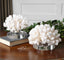 Uttermost Accessories Hard Coral Sculptures, Set of 2 House of Isabella UK