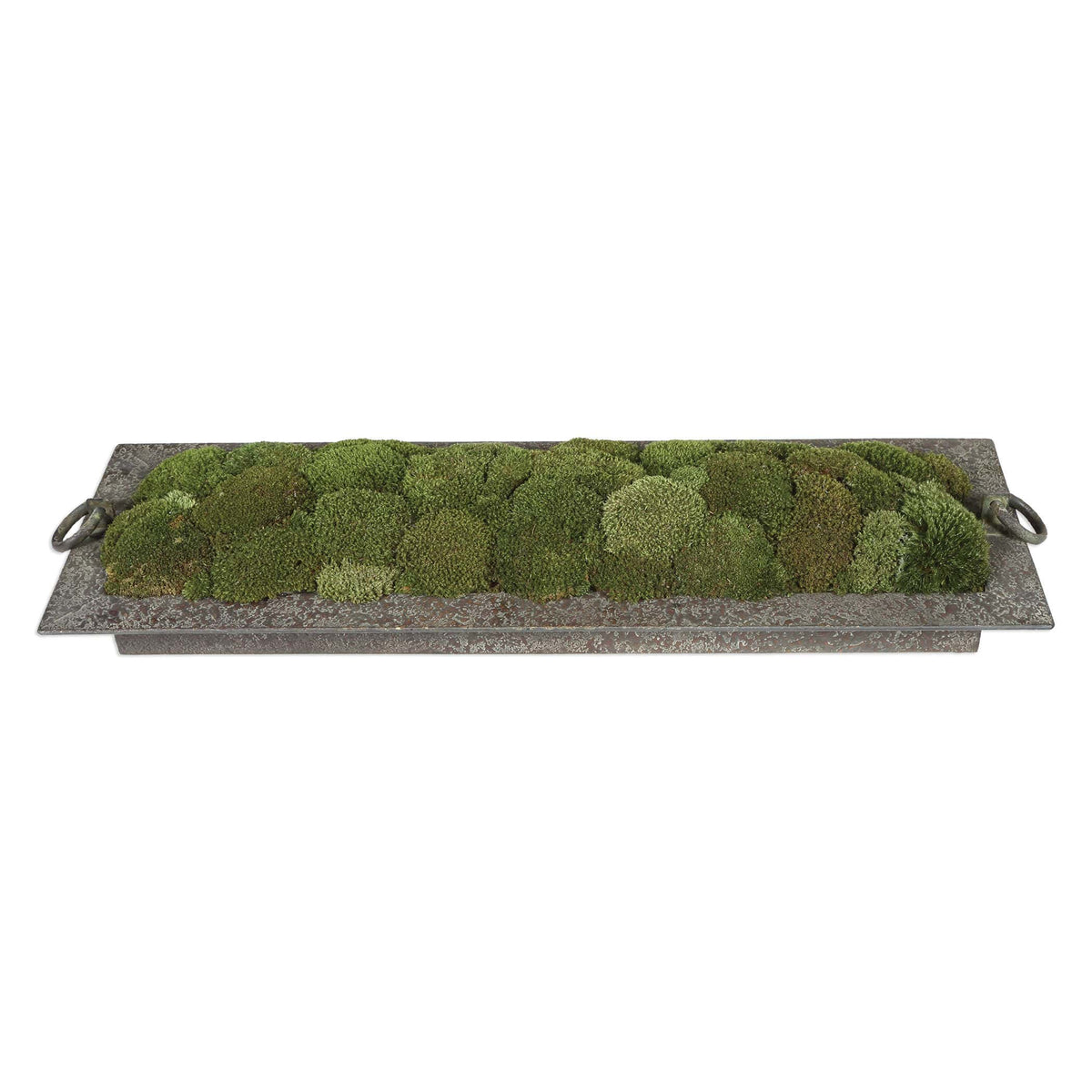 Uttermost Accessories Heath Preserved Moss Tray House of Isabella UK