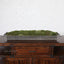 Uttermost Accessories Heath Preserved Moss Tray House of Isabella UK