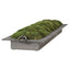 Uttermost Accessories Heath Preserved Moss Tray House of Isabella UK