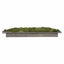 Uttermost Accessories Heath Preserved Moss Tray House of Isabella UK