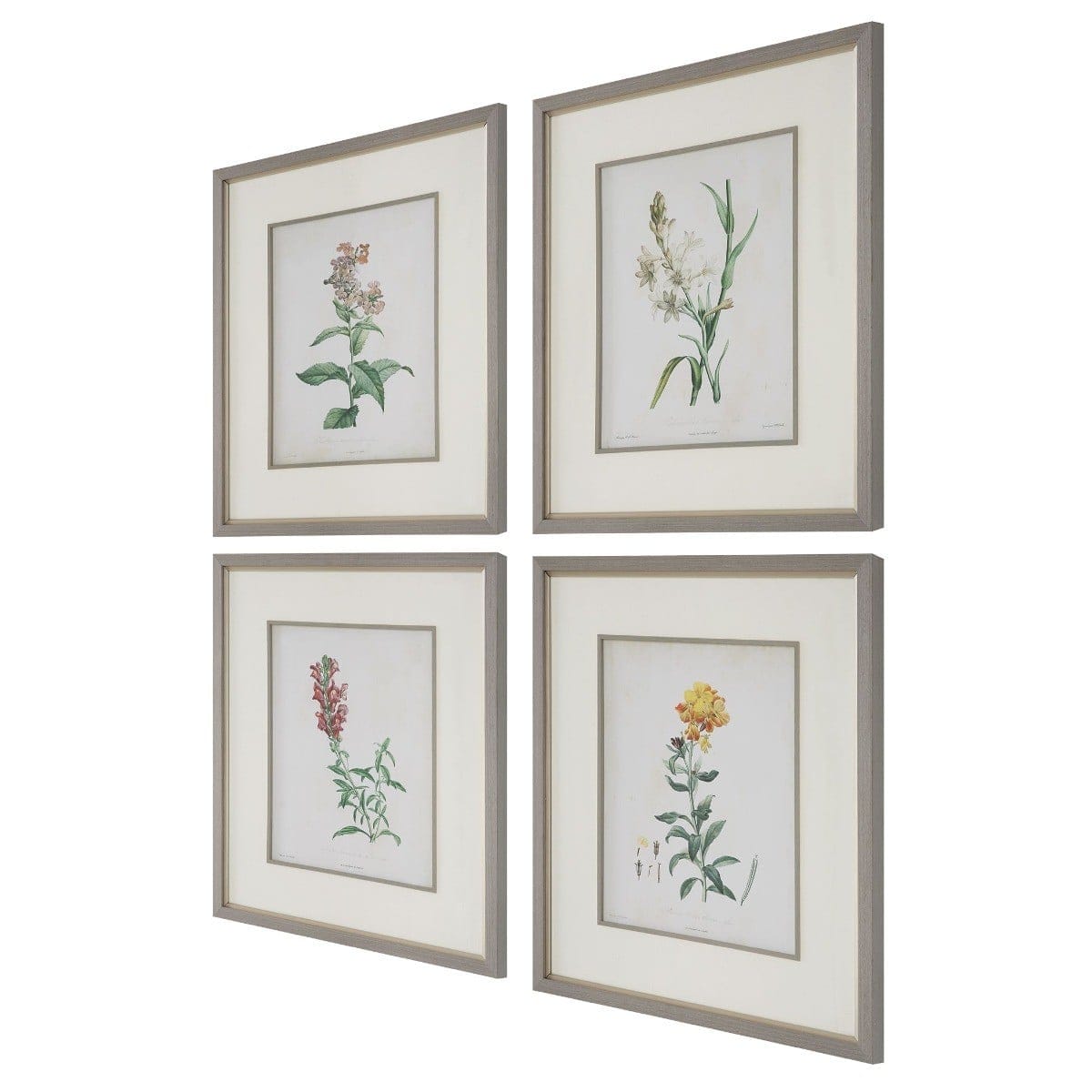 Uttermost Accessories Heirloom Blooms Study Framed Prints Set/4 House of Isabella UK