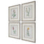 Uttermost Accessories Heirloom Blooms Study Framed Prints Set/4 House of Isabella UK