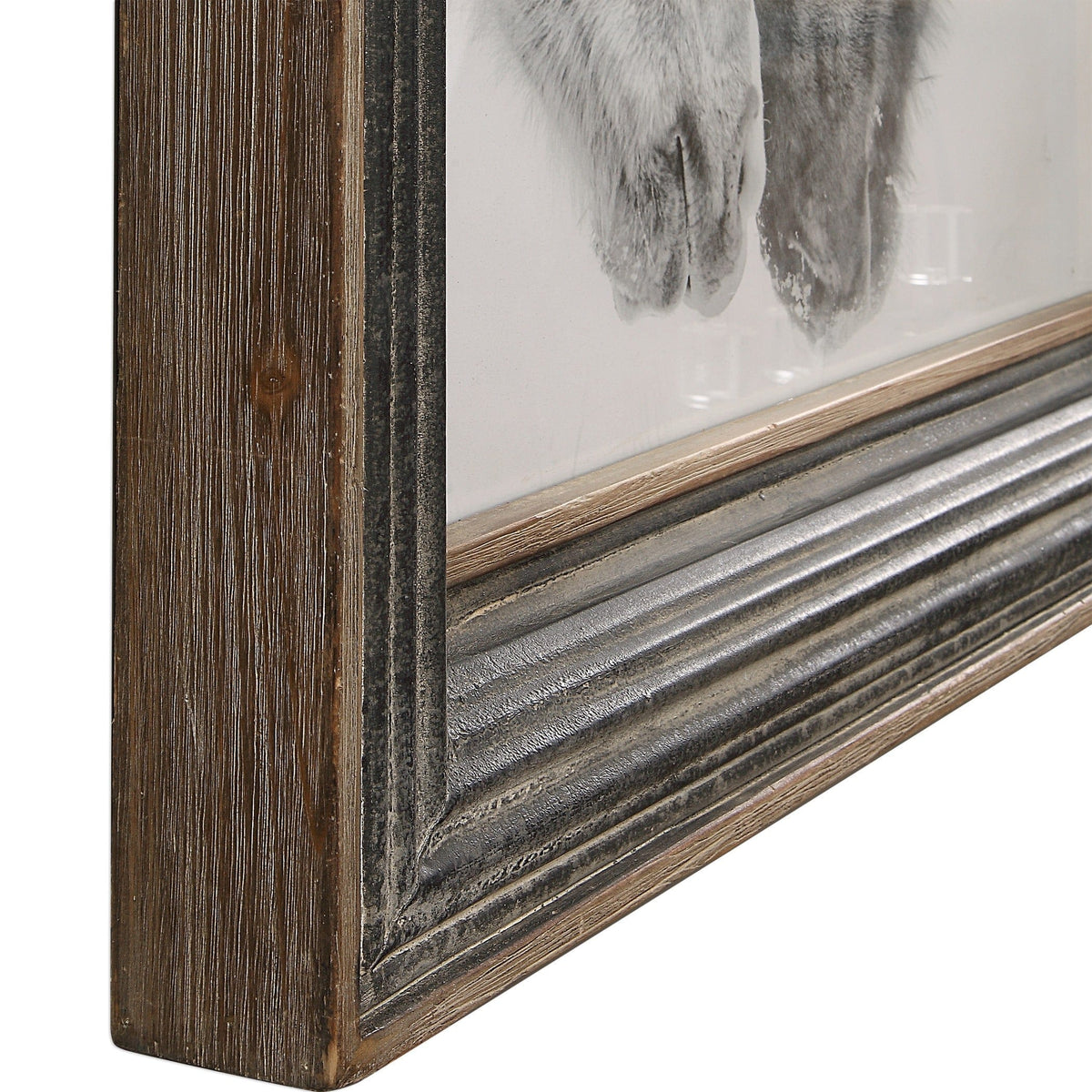 Uttermost Accessories Horse Photography Framed Print in Black and White House of Isabella UK