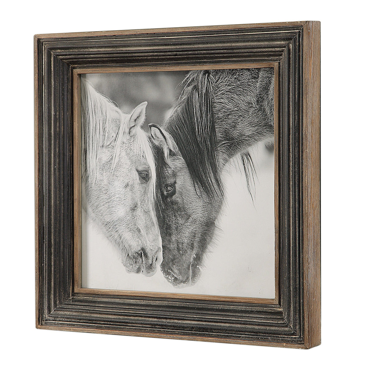 Uttermost Accessories Horse Photography Framed Print in Black and White House of Isabella UK