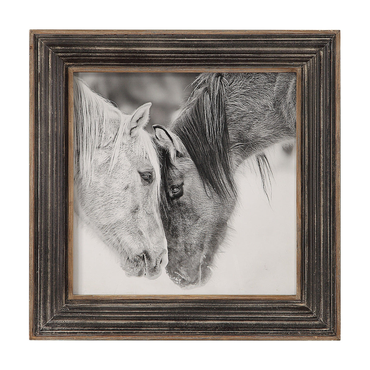 Uttermost Accessories Horse Photography Framed Print in Black and White House of Isabella UK