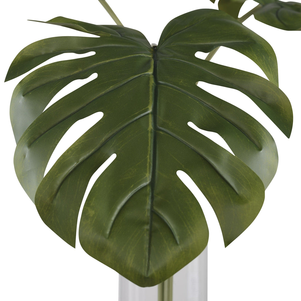 Uttermost Accessories Ibero Split Leaf Palm House of Isabella UK