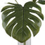 Uttermost Accessories Ibero Split Leaf Palm House of Isabella UK