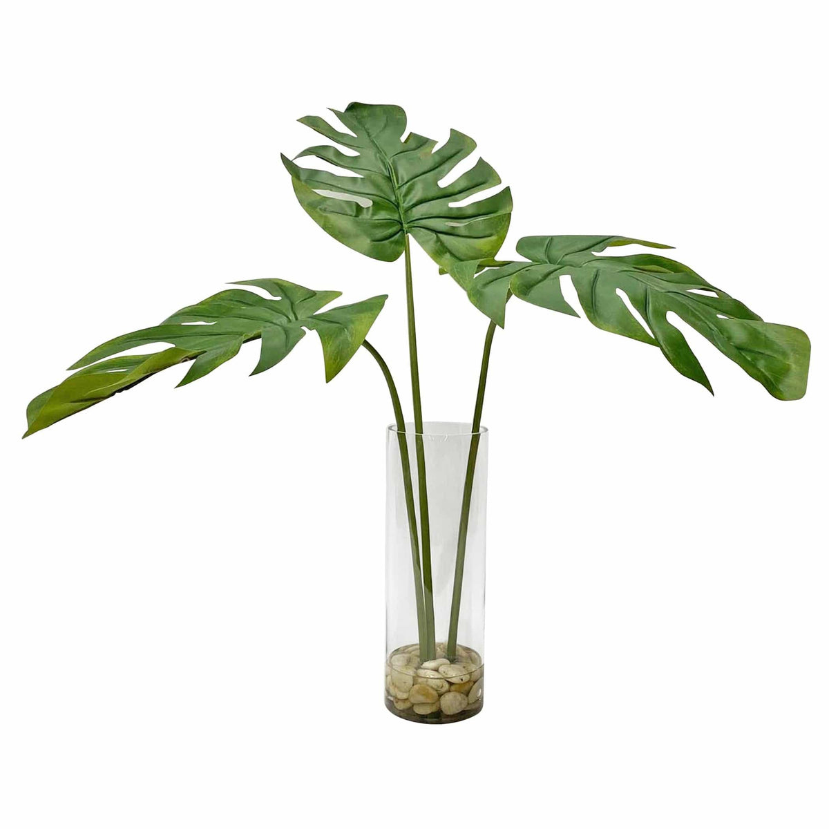 Uttermost Accessories Ibero Split Leaf Palm House of Isabella UK