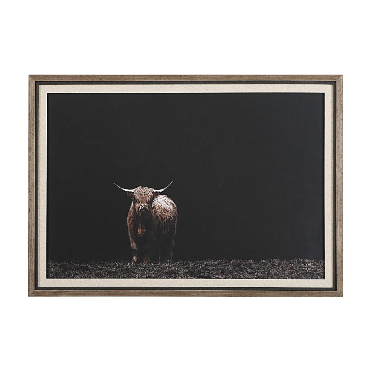 Uttermost Accessories King of the Hill Highland Cow Photography Print House of Isabella UK