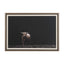 Uttermost Accessories King of the Hill Highland Cow Photography Print House of Isabella UK
