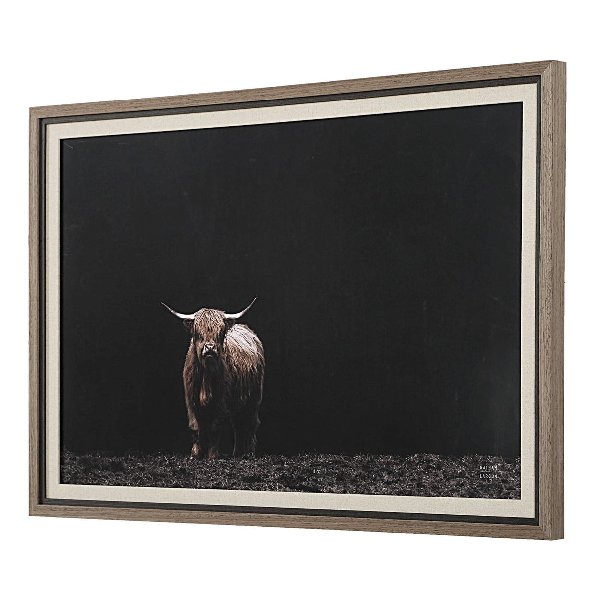 Uttermost Accessories King of the Hill Highland Cow Photography Print House of Isabella UK