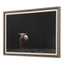 Uttermost Accessories King of the Hill Highland Cow Photography Print House of Isabella UK