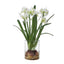 Uttermost Accessories Lacey Daffodil Accent House of Isabella UK