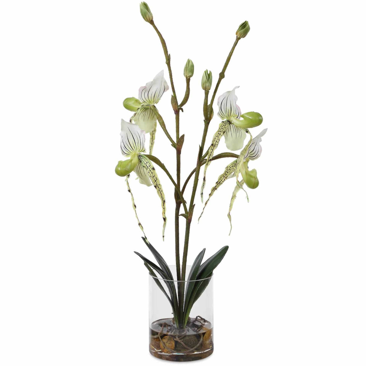 Uttermost Accessories Lady Slipper Orchid In Glass Vase House of Isabella UK
