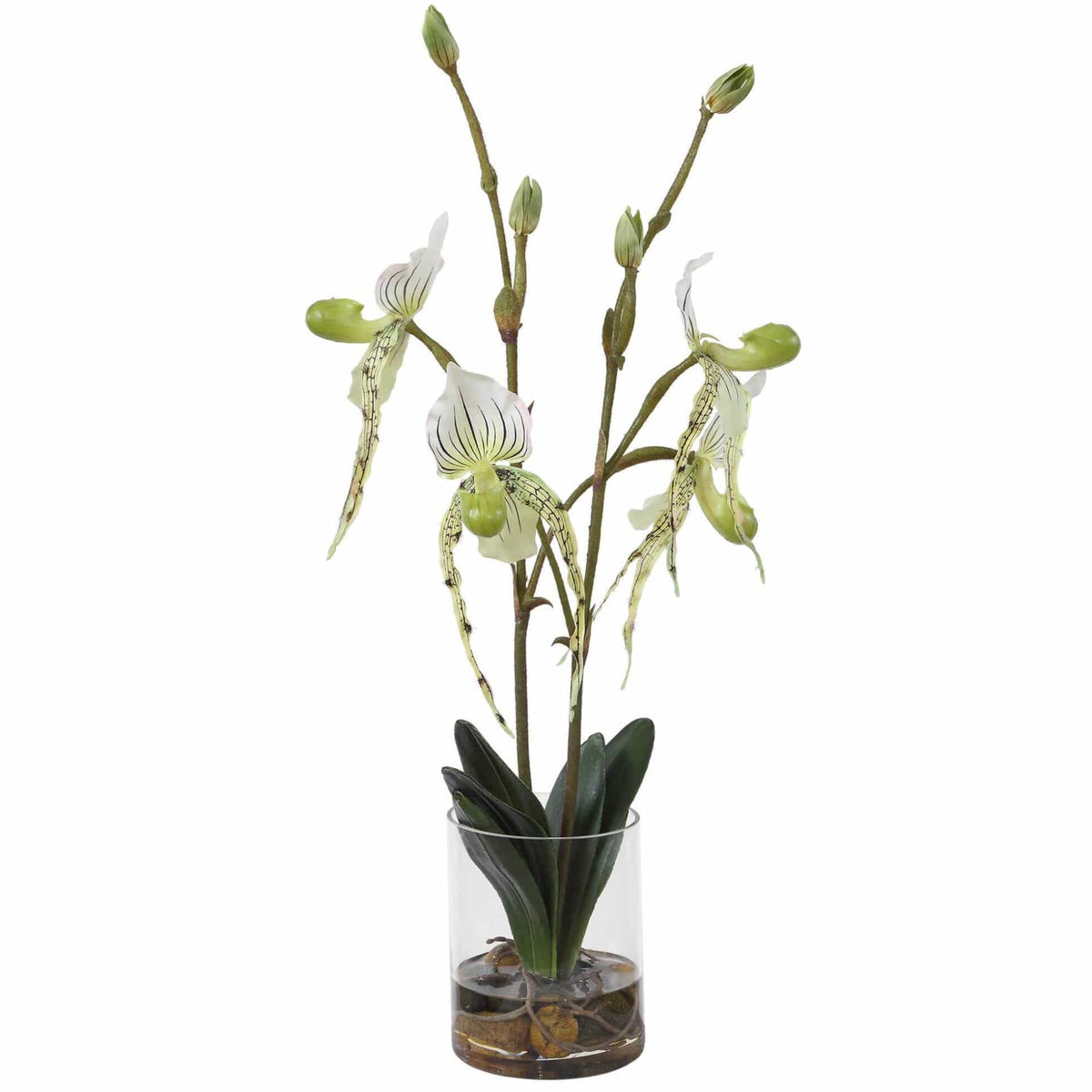 Uttermost Accessories Lady Slipper Orchid In Glass Vase House of Isabella UK