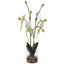 Uttermost Accessories Lady Slipper Orchid In Glass Vase House of Isabella UK