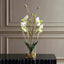 Uttermost Accessories Lady Slipper Orchid In Glass Vase House of Isabella UK