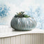 Uttermost Accessories Low Tide Bowl House of Isabella UK