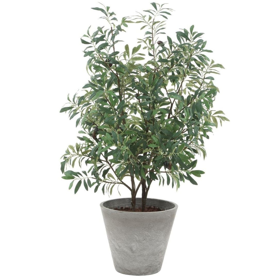 Uttermost Accessories Marisol Potted Olive Plant House of Isabella UK