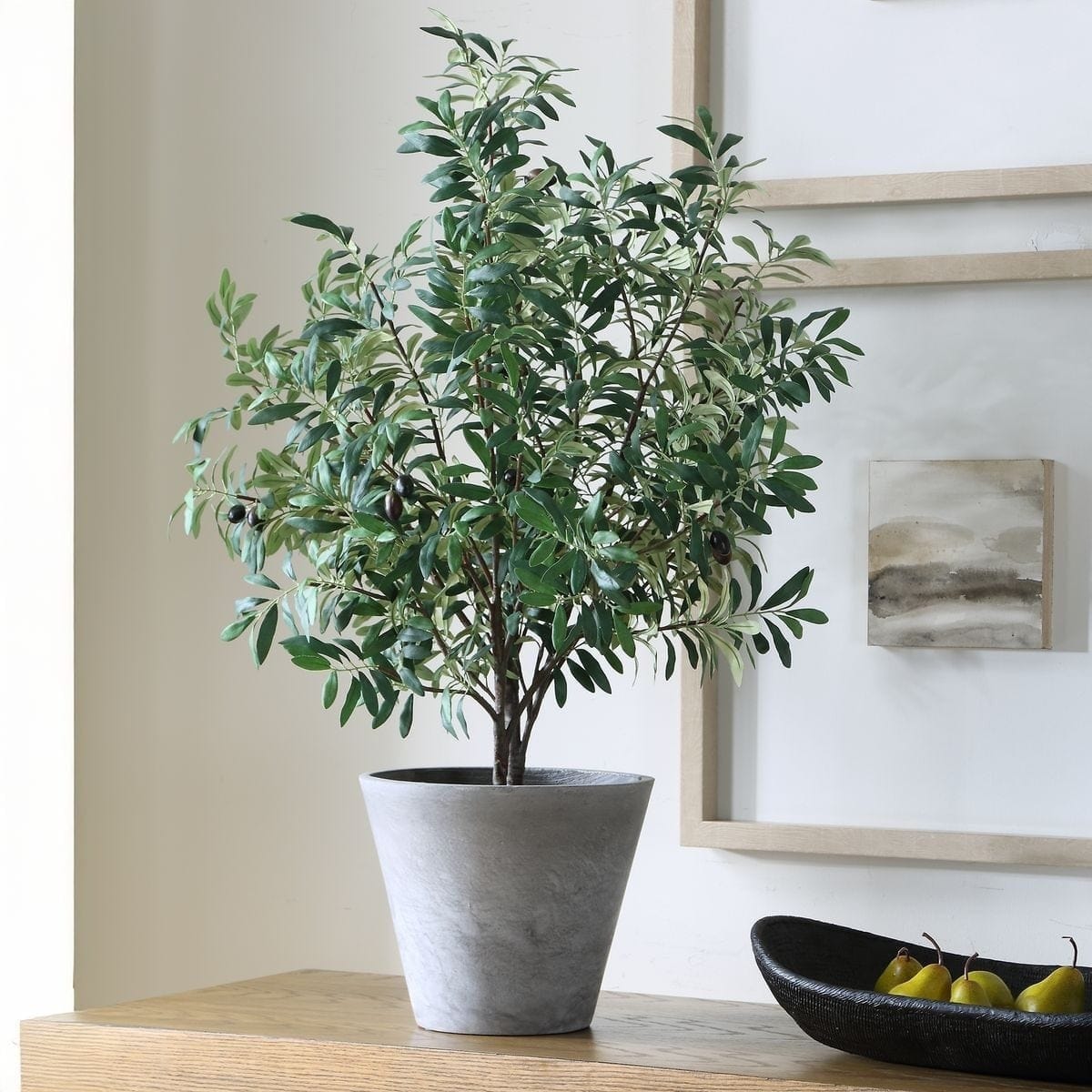 Uttermost Accessories Marisol Potted Olive Plant House of Isabella UK