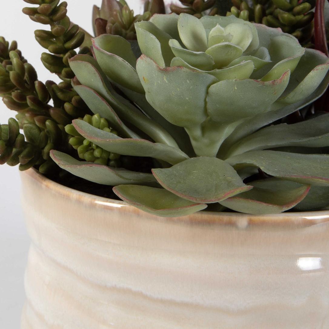 Uttermost Accessories Mesa Succulent Accent House of Isabella UK