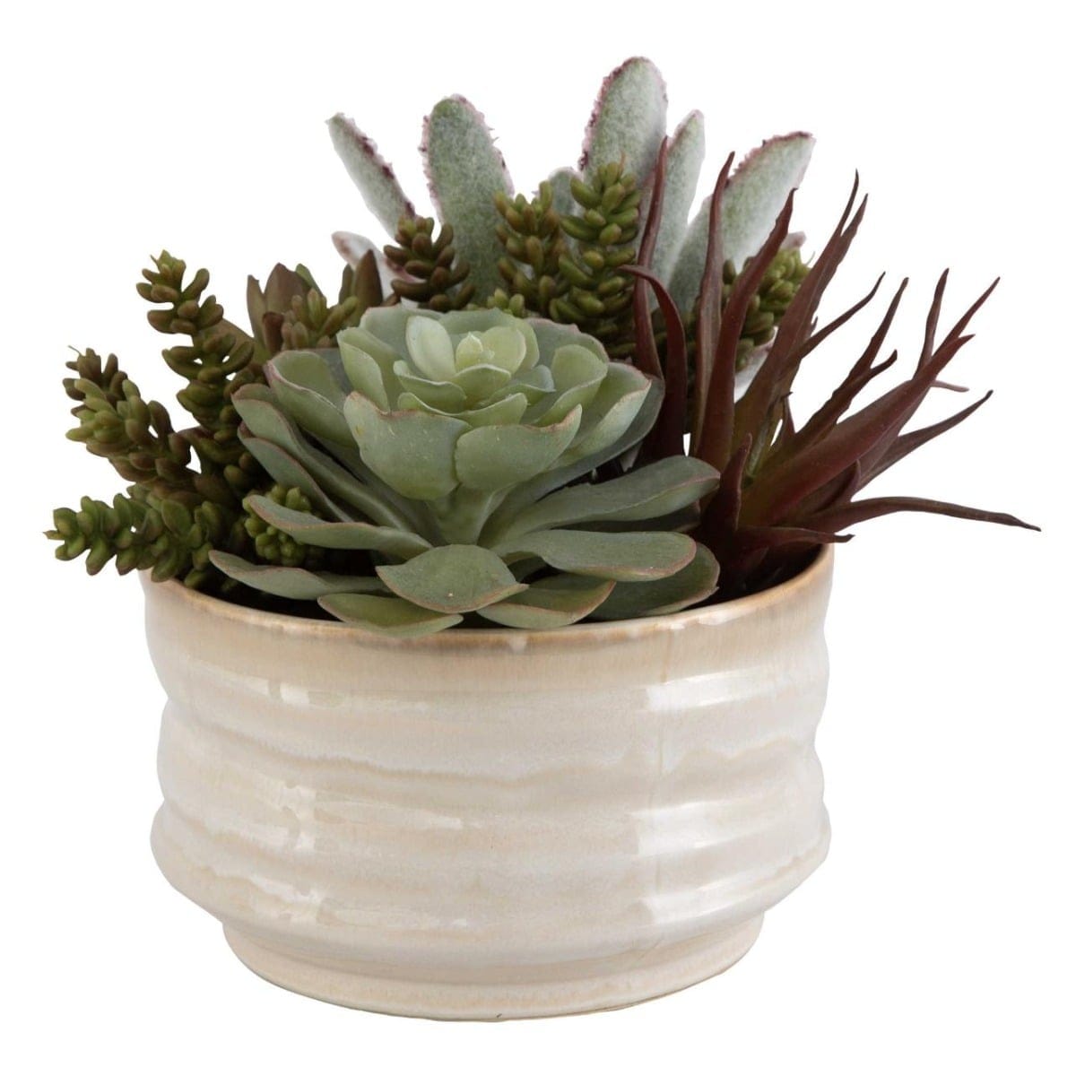 Uttermost Accessories Mesa Succulent Accent House of Isabella UK