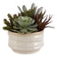 Uttermost Accessories Mesa Succulent Accent House of Isabella UK