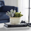 Uttermost Accessories Mesa Succulent Accent House of Isabella UK