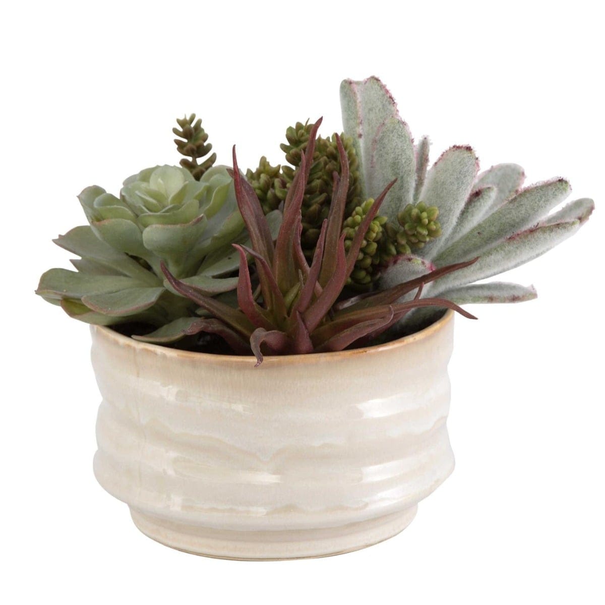 Uttermost Accessories Mesa Succulent Accent House of Isabella UK