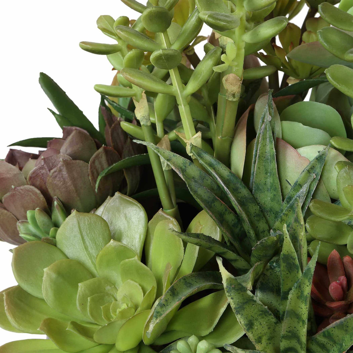 Uttermost Accessories Mico Indoor-Outdoor Succulent Centerpiece House of Isabella UK