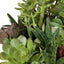 Uttermost Accessories Mico Indoor-Outdoor Succulent Centerpiece House of Isabella UK