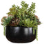 Uttermost Accessories Mico Indoor-Outdoor Succulent Centerpiece House of Isabella UK