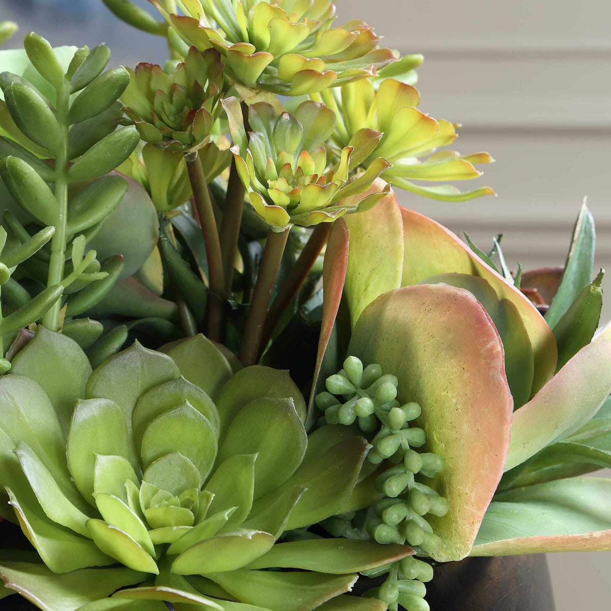 Uttermost Accessories Mico Indoor-Outdoor Succulent Centerpiece House of Isabella UK