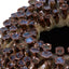 Uttermost Accessories Mushroom Garden Vase - Small House of Isabella UK