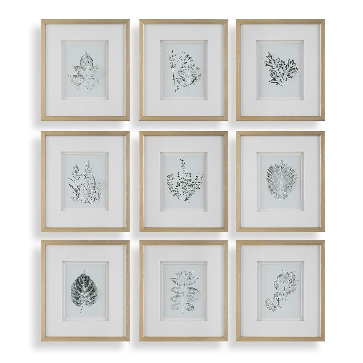 Uttermost Accessories Nature's Script Framed Botanical Prints Set of 9 House of Isabella UK